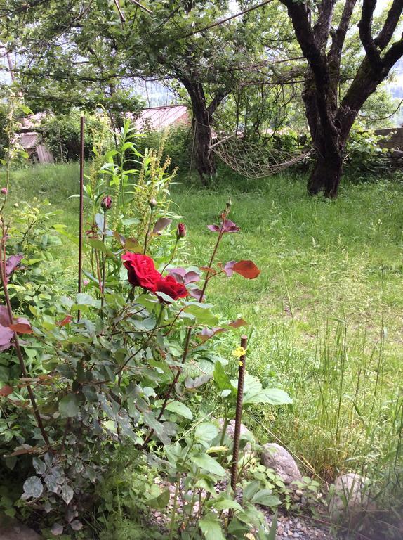מסטיה Guest House Chuta In Lagami מראה חיצוני תמונה