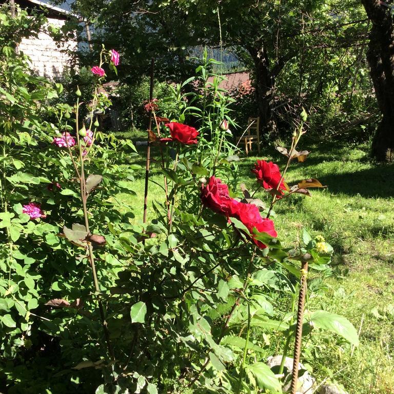 מסטיה Guest House Chuta In Lagami מראה חיצוני תמונה